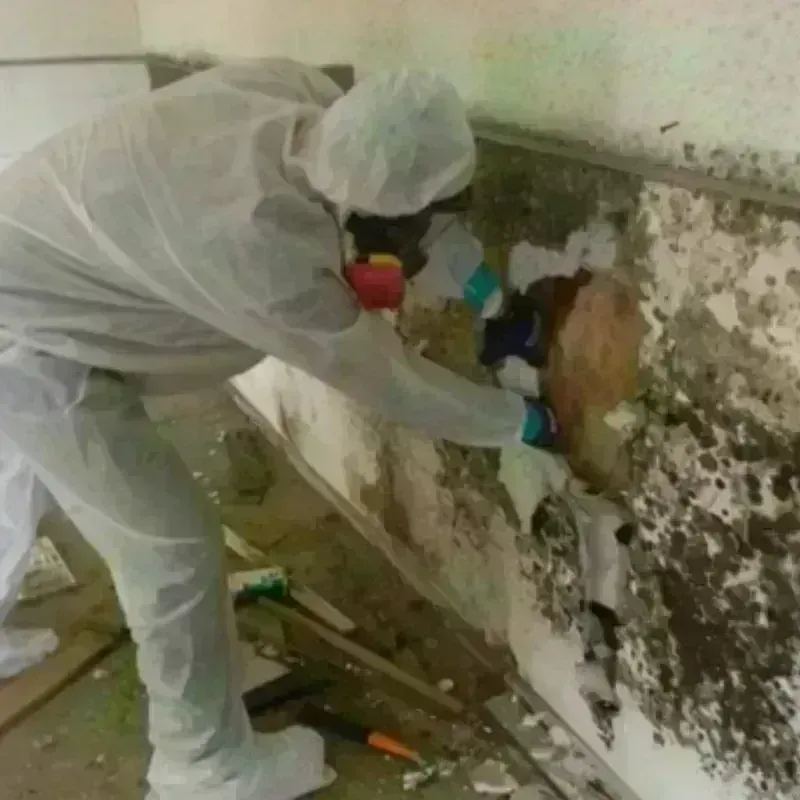 Mold Remediation and Removal in Sabana Grande Municipio, PR